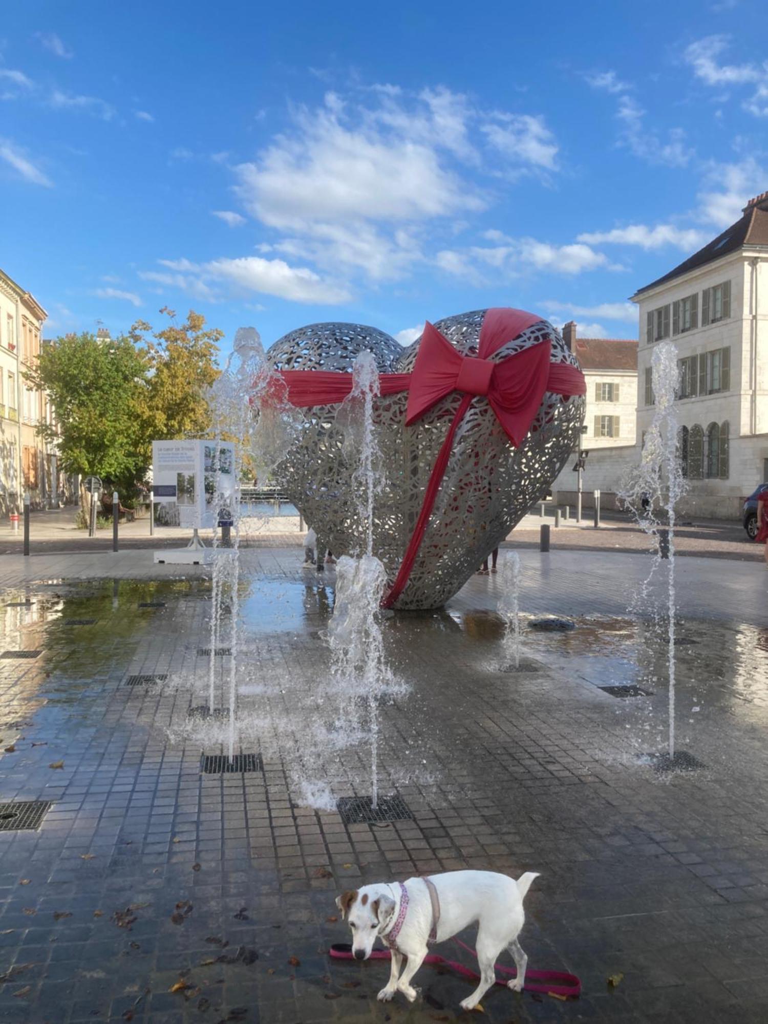 Appartamento Papillons De Nuit Champagne Troyes Esterno foto